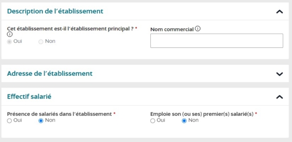 Déclaration de début d activité VDI au guichet unique INPI Secrets de