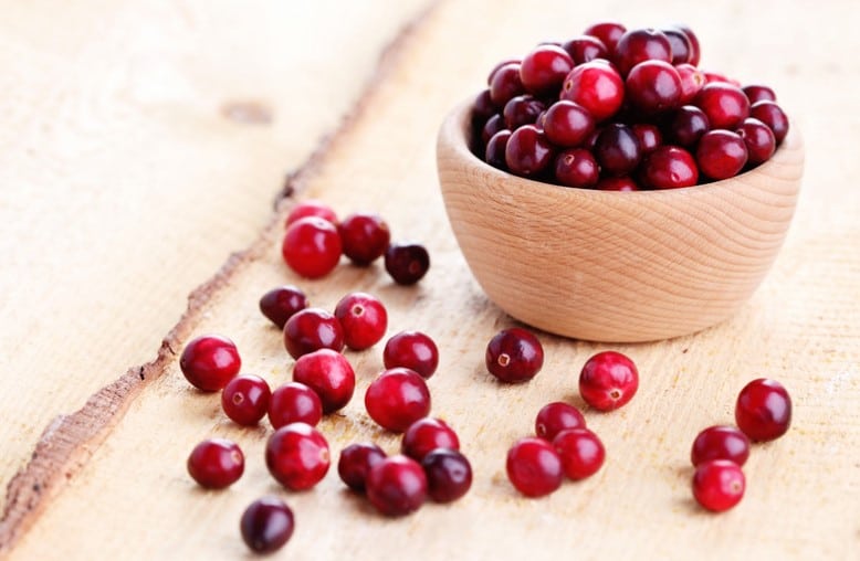 Baies de cranberry séchées (canneberge) - Utilisation en cuisine,  propriétés bienfaits et histoire